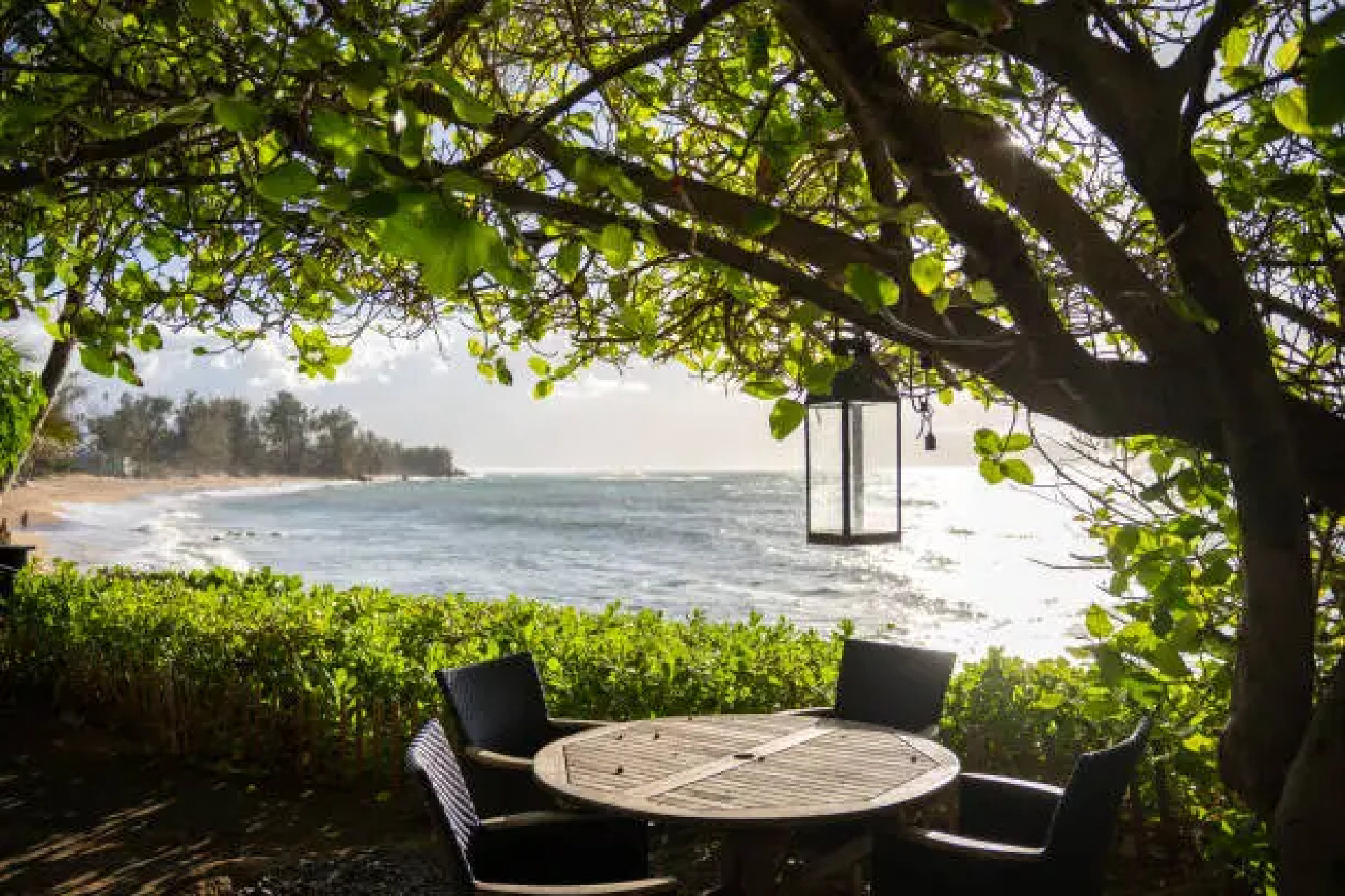 Savoring the Valley Isle with the 2026 Maui Dining Guide