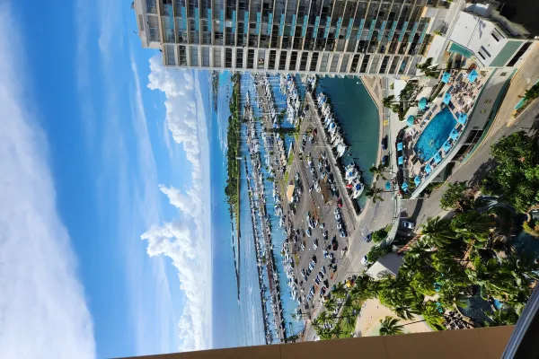 Guest photo