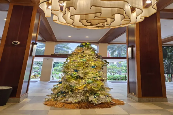 Guest photo